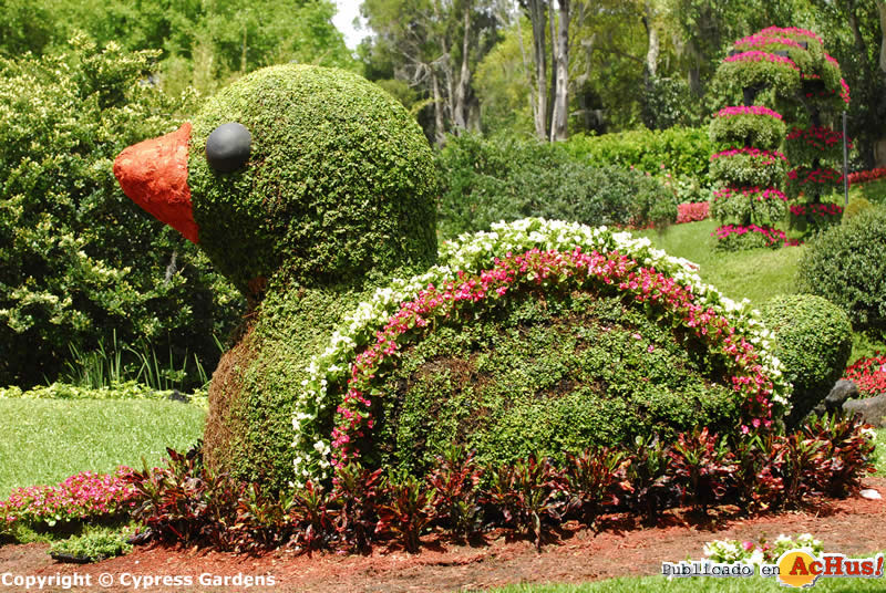 Cypress Gardens  06